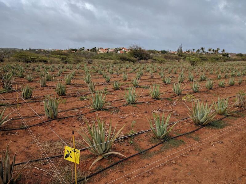 PBNO ku krítika fuerte riba kitamentu di tereno agrario pa konstrukshon di kazèrne