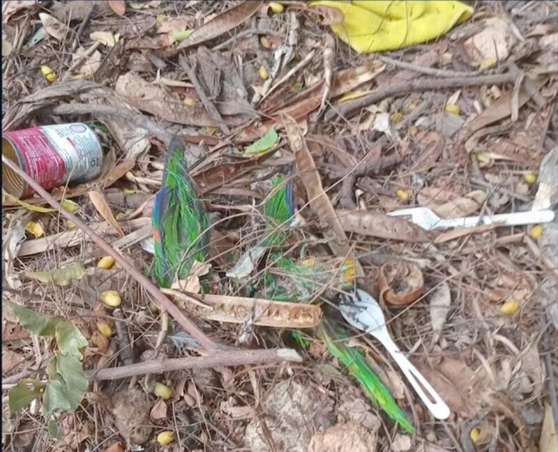 Echo Bonaire ta pidi pa protehá nos loranan i ta klarifiká tokante bario di Amboina despues di insidente di tiramentu di lora
